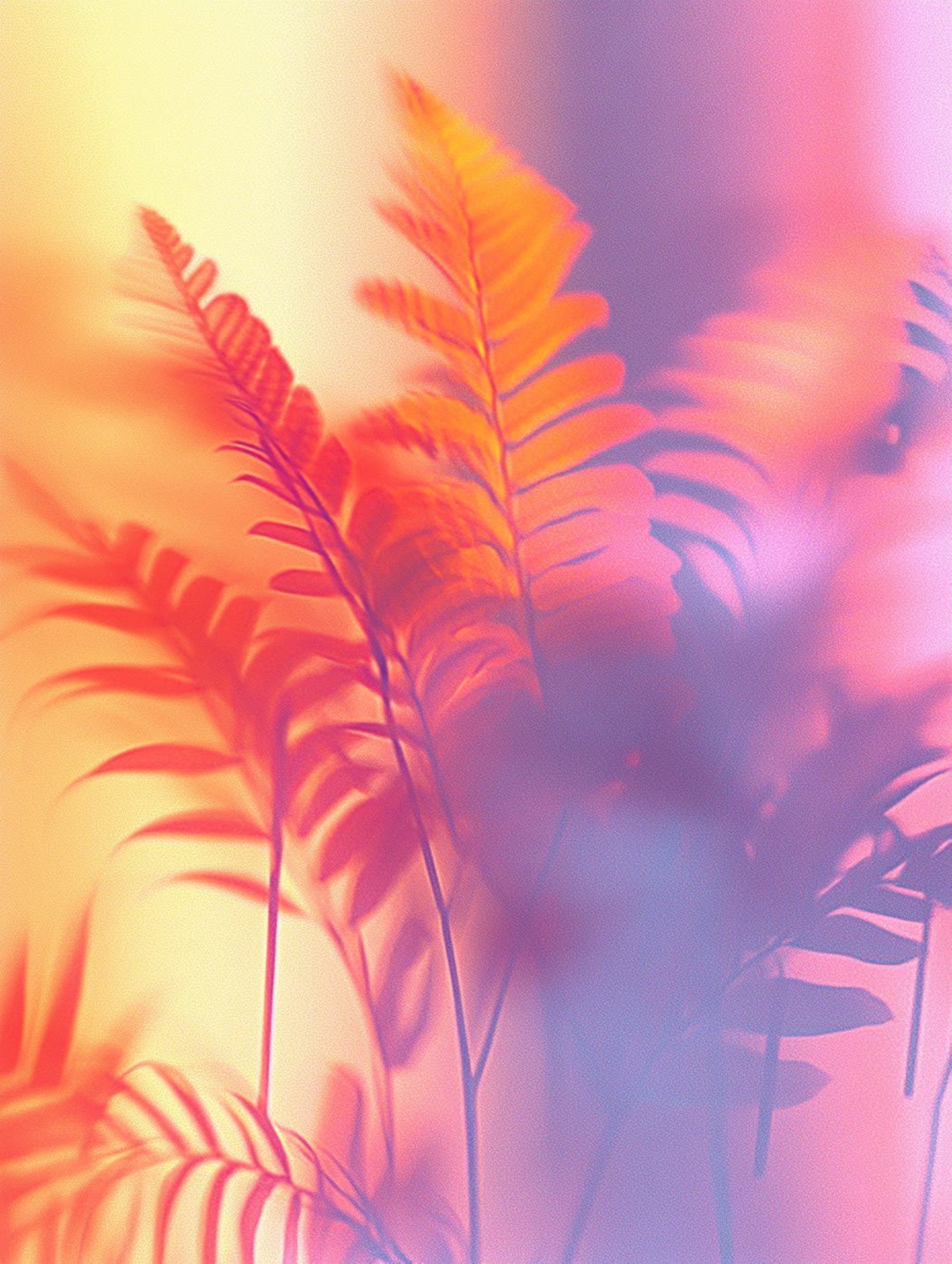AI imagery by Highlight London — Coty - Packaging