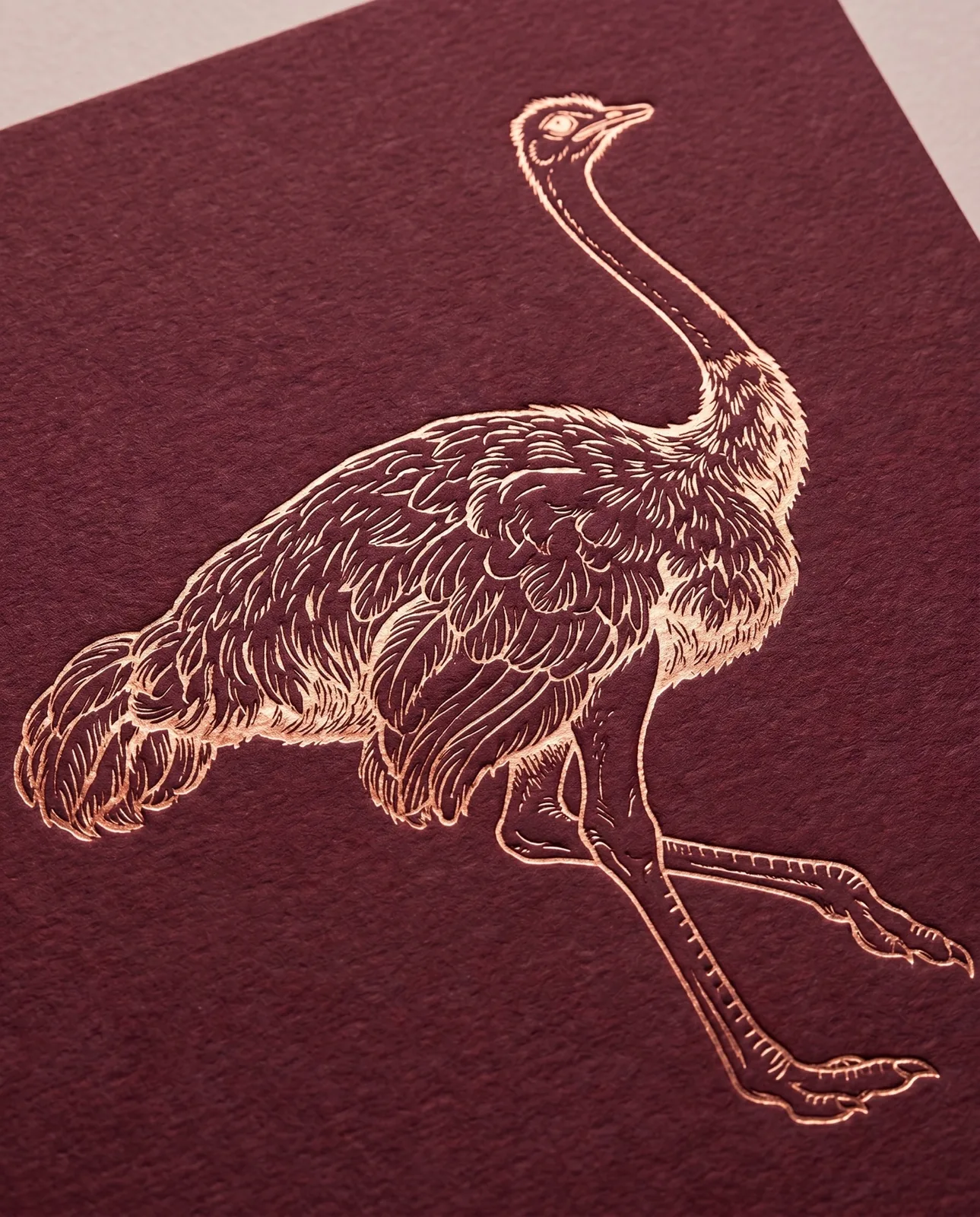Creative territories, symbolic ostrich study by Highlight London