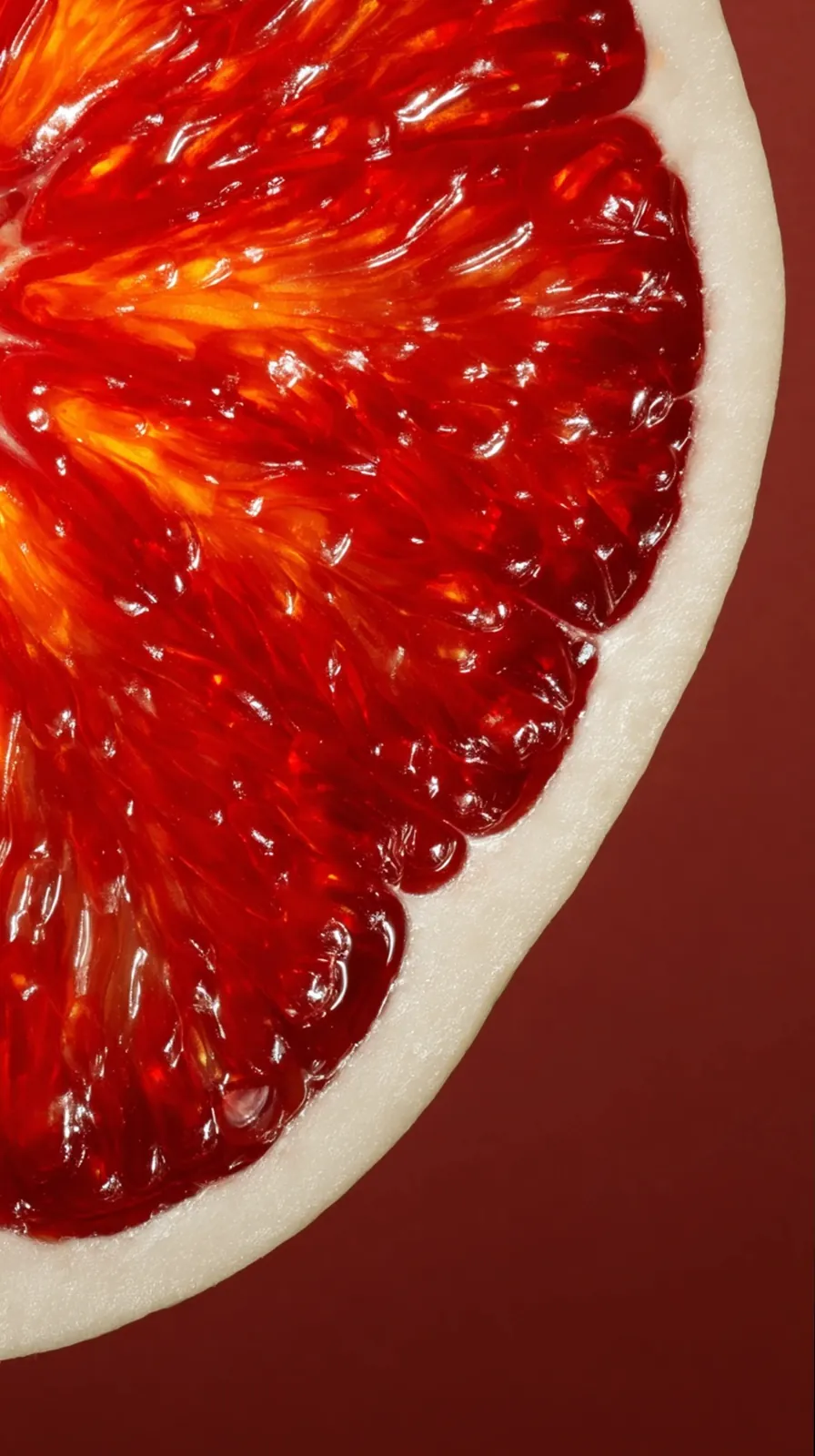 Studio · Ingredient Studies · Macro texture library · creative direction by Highlight London