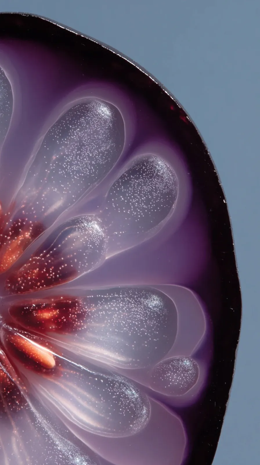 Studio · Ingredient Studies · Macro texture library · creative direction by Highlight London