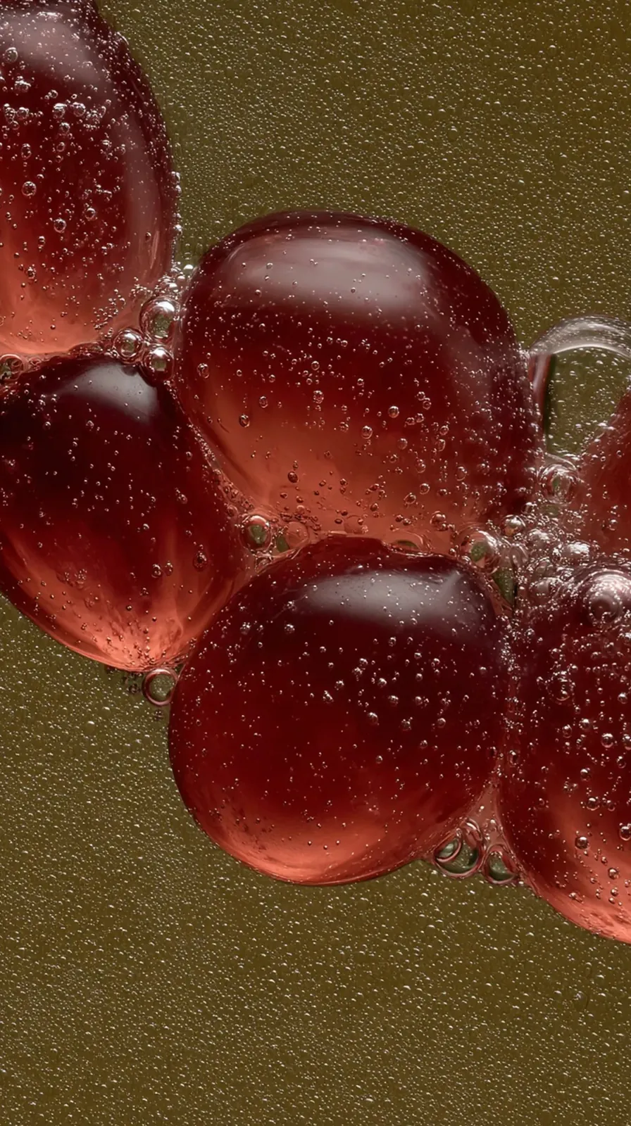 Studio · Ingredient Studies · Macro texture library · creative direction by Highlight London